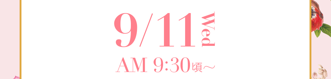 9/11 WED AM 9:30頃～