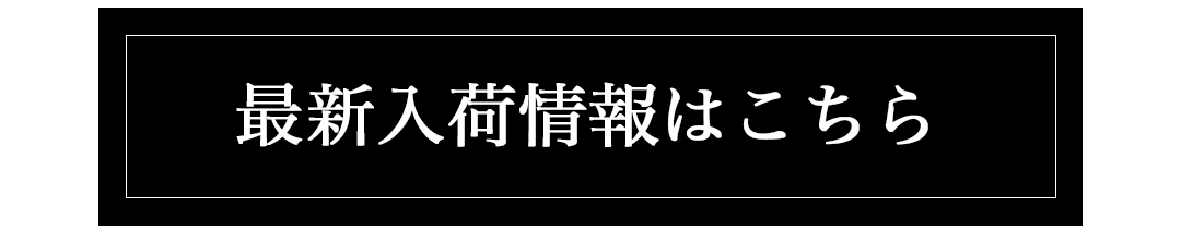 最新入荷情報はこちら