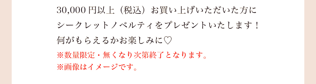 30,000円以上（税込）お買い上げいただいた方にシークレットノベルティをプレゼントいたします！何がもらえるかお楽しみに！※数量限定・無くなり次第終了となります。※画像はイメージです。
