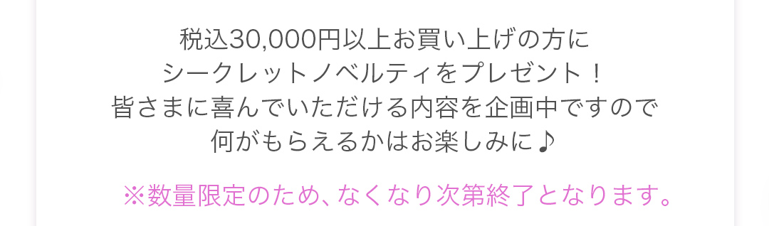 税込30,000円以上お買い上げの方にシークレットノベルティをプレゼント！皆さまに喜んでいただける内容を企画中ですので何がもらえるかはお楽しみに。※数量限定のため、なくなり次第終了となります。

